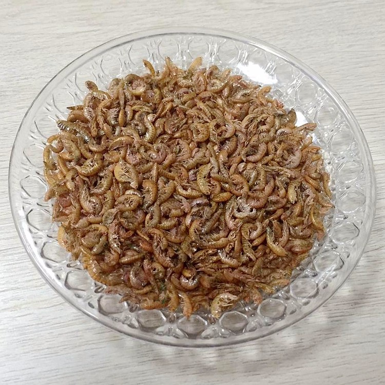 Dried gammarus.jpg